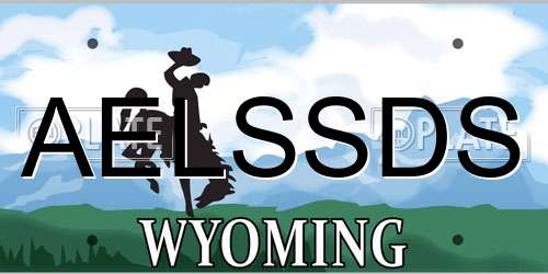 AELSSDS Wyoming License Plate