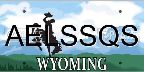 AELSSQS Wyoming License Plate