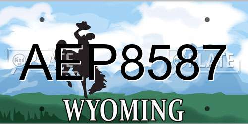 AEP8587 Wyoming License Plate
