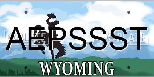 AEPSSST Wyoming License Plate