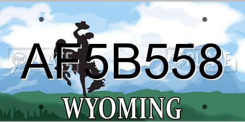 AF5B558 Wyoming License Plate