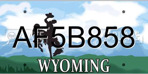 AF5B858 Wyoming License Plate