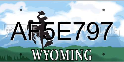AF5E797 Wyoming License Plate