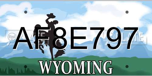 AF8E797 Wyoming License Plate