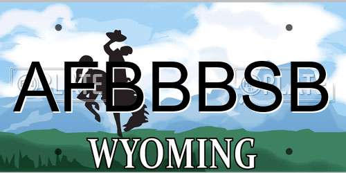 AFBBBSB Wyoming License Plate