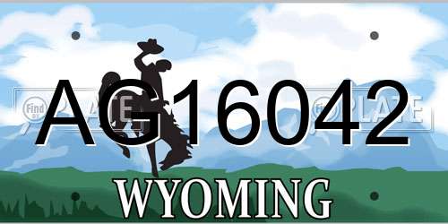 AG16042 Wyoming License Plate