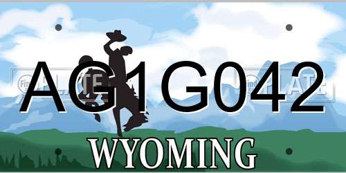 AG1G042 Wyoming License Plate