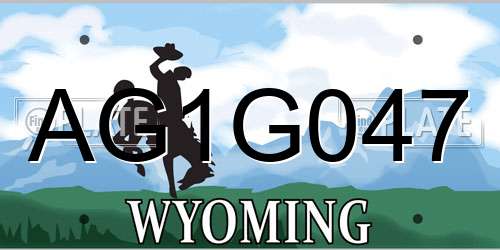 AG1G047 Wyoming License Plate