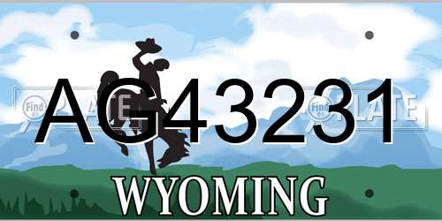 AG43231 Wyoming License Plate