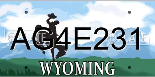 AG4E231 Wyoming License Plate