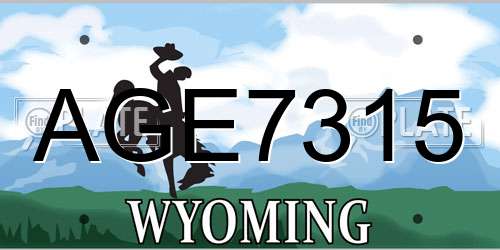 AGE7315 Wyoming License Plate