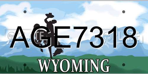 AGE7318 Wyoming License Plate