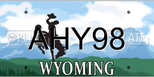 AHY98 Wyoming License Plate