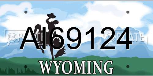AI69124 Wyoming License Plate