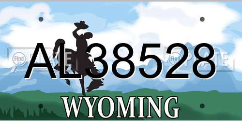 AL38528 Wyoming License Plate