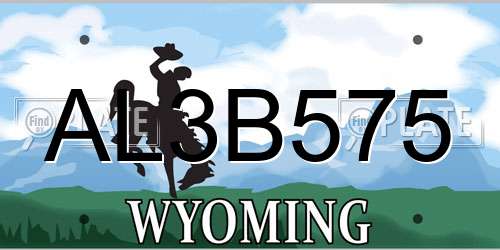 AL3B575 Wyoming License Plate