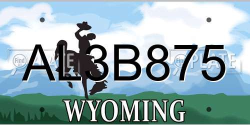 AL3B875 Wyoming License Plate