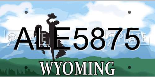 ALE5875 Wyoming License Plate