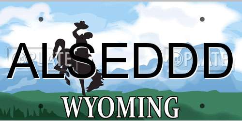 ALSEDDD Wyoming License Plate