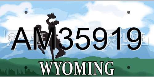 AM35919 Wyoming License Plate