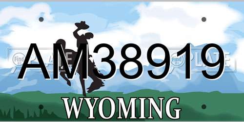 AM38919 Wyoming License Plate