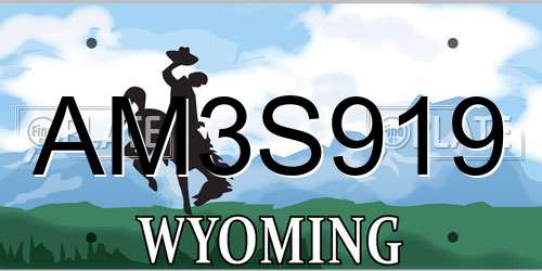AM3S919 Wyoming License Plate