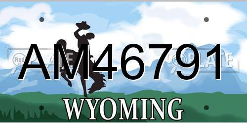 AM46791 Wyoming License Plate