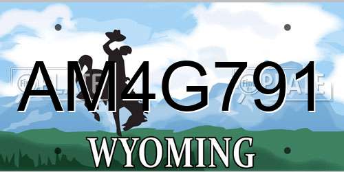 AM4G791 Wyoming License Plate