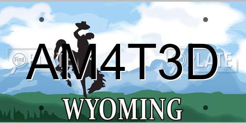 AM4T3D Wyoming License Plate