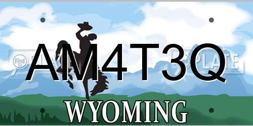 AM4T3Q Wyoming License Plate