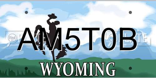 AM5T0B Wyoming License Plate