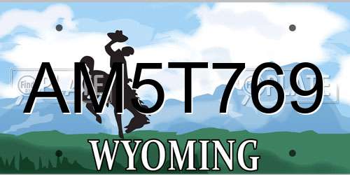 AM5T769 Wyoming License Plate