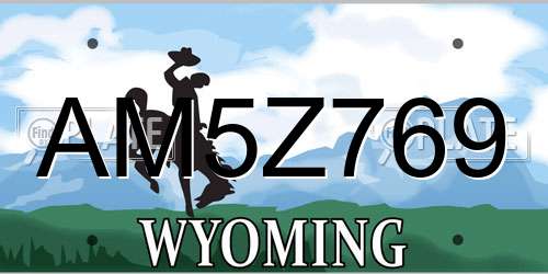 AM5Z769 Wyoming License Plate