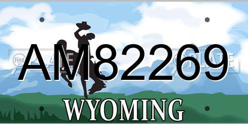 AM82269 Wyoming License Plate