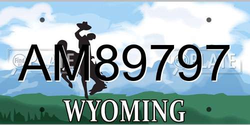 AM89797 Wyoming License Plate