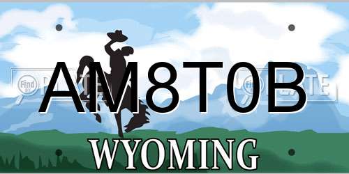 AM8T0B Wyoming License Plate