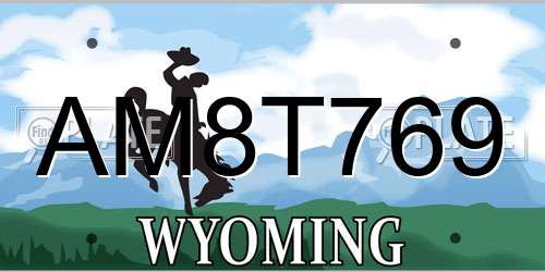 AM8T769 Wyoming License Plate