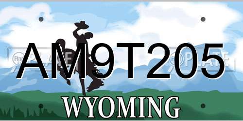 AM9T205 Wyoming License Plate