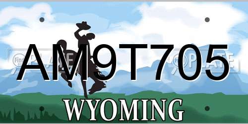 AM9T705 Wyoming License Plate