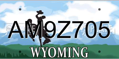 AM9Z705 Wyoming License Plate