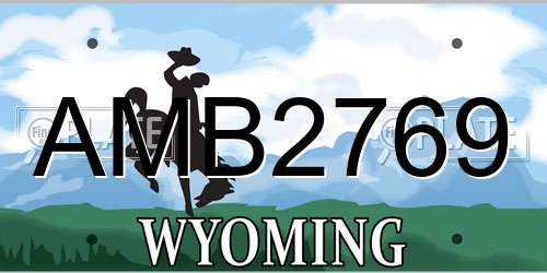 AMB2769 Wyoming License Plate