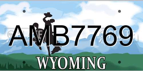 AMB7769 Wyoming License Plate