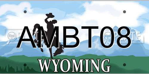 AMBT08 Wyoming License Plate