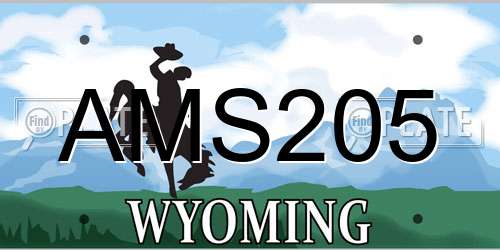 AMS205 Wyoming License Plate