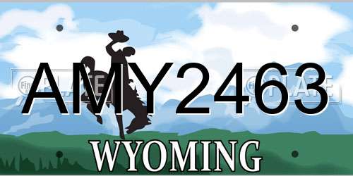 AMY2463 Wyoming License Plate