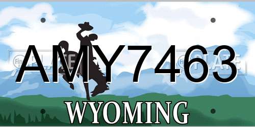 AMY7463 Wyoming License Plate