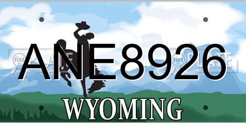 ANE8926 Wyoming License Plate