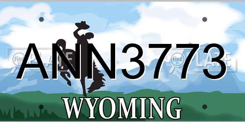 ANN3773 Wyoming License Plate