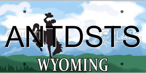 ANTDSTS Wyoming License Plate