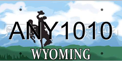 ANY1010 Wyoming License Plate